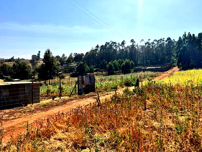 100 X 100ft Plot for Sale in Kikuyu, Ondiri. - Image 10