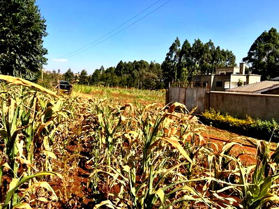 100 X 100ft Plot for Sale in Kikuyu, Ondiri. - Image 9