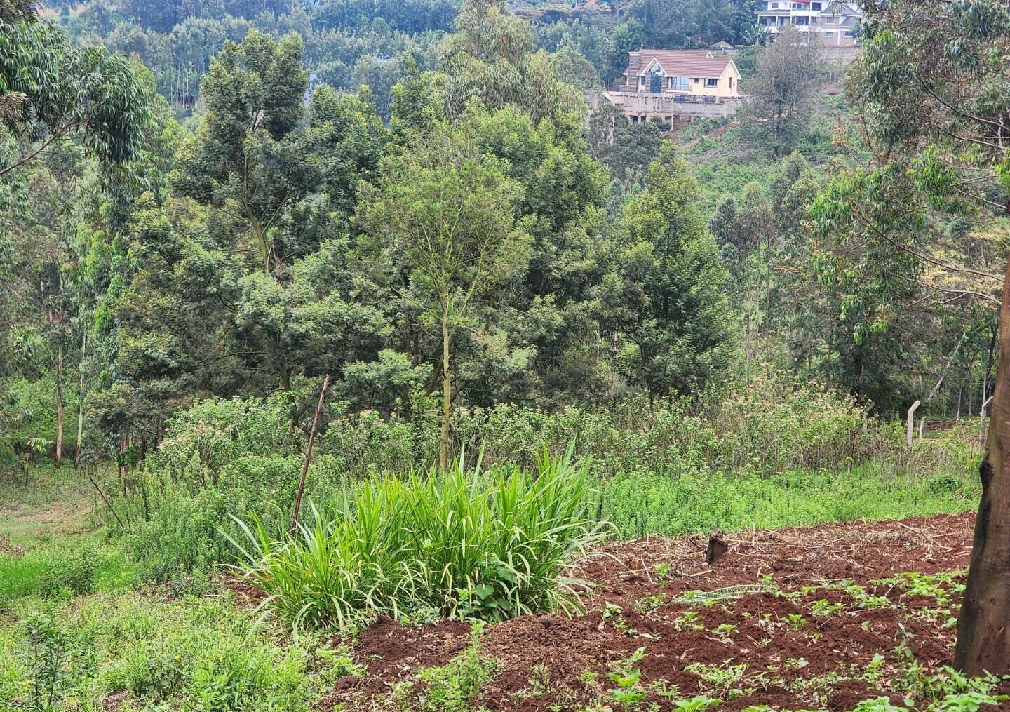 KSh 3.5M Plot in Kibiku