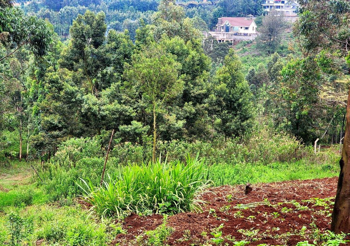 KSh 3.5M Plot in Kibiku