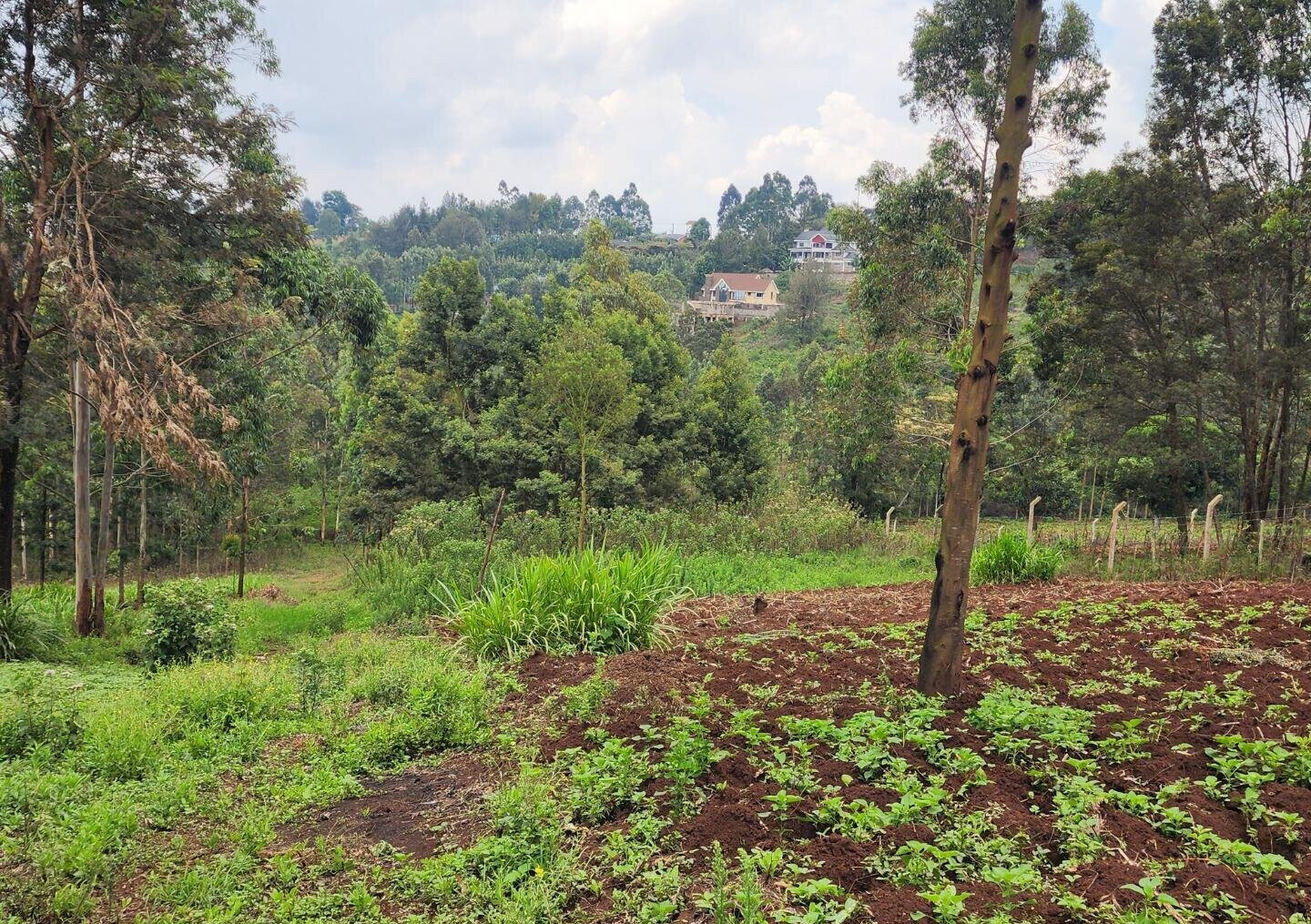 KSh 3.5M Plot in Kibiku