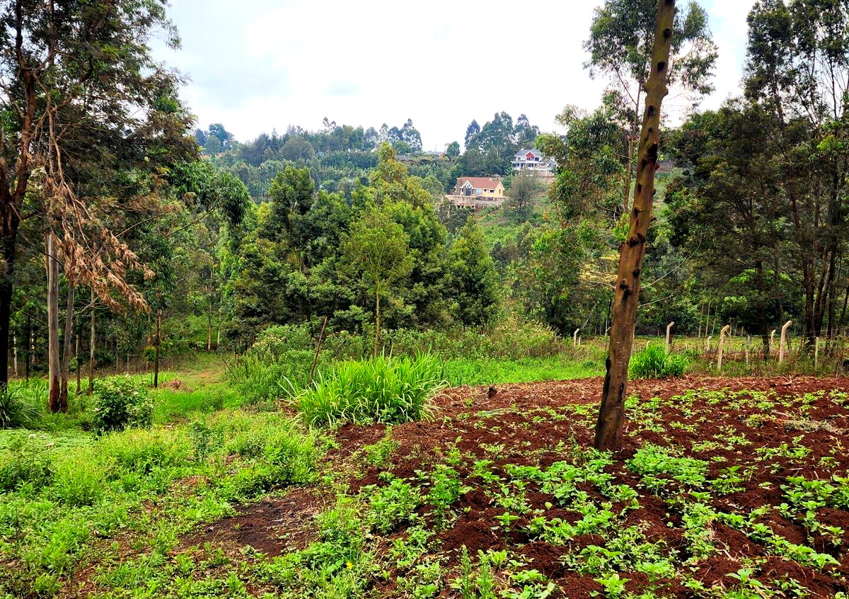 KSh 3.5M Plot in Kibiku