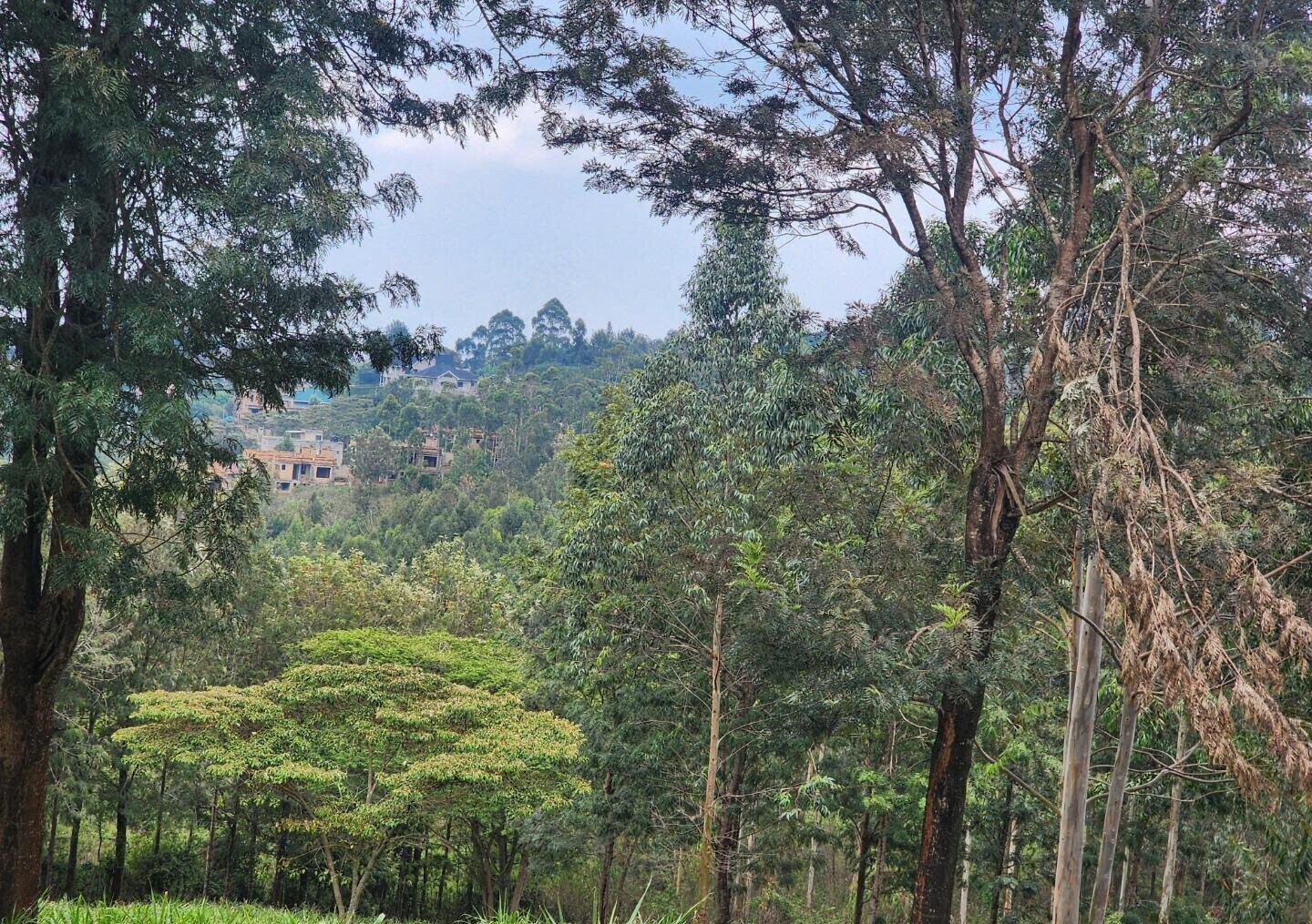 KSh 3.5M Plot in Kibiku