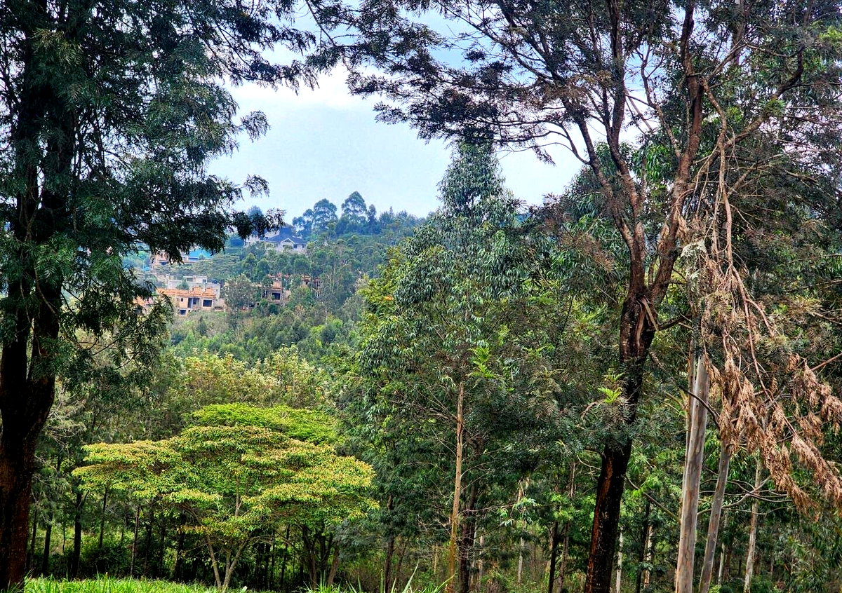 KSh 3.5M Plot in Kibiku