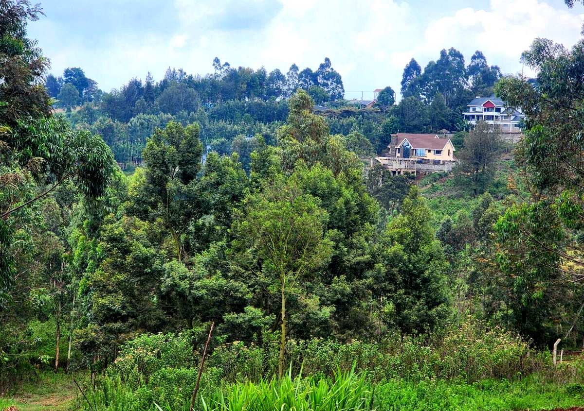 KSh 3.5M Plot in Kibiku