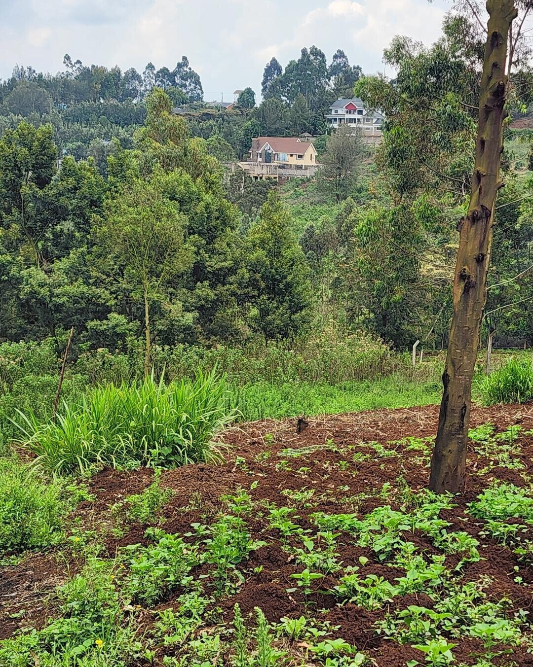 KSh 3.5M Plot in Kibiku