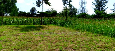10acres for Sale in Laikipia County - Image 2