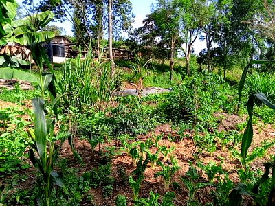 10acres for Sale in Laikipia County - Image 13