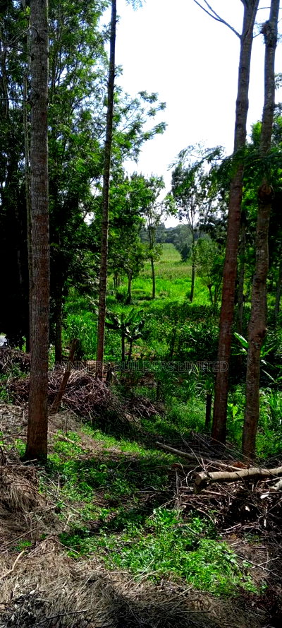 10acres for Sale in Laikipia County - Image 12