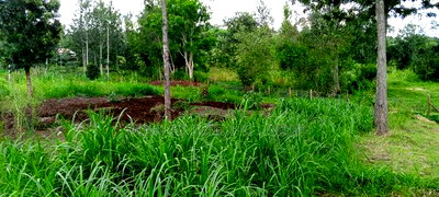 10acres for Sale in Laikipia County - Image 3