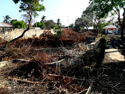 3/4 of an Acre Land Near Turtle Bay Hotel - Image 3