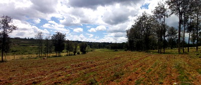 2-Acre Garden Plot with Parking - Nanyuki