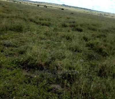 13 Acres of Land for Sale in Kitengela Near Masjid Noor - Image 1