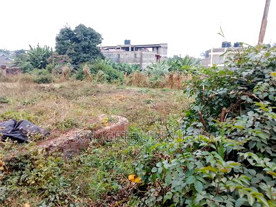 100x100 Commercial Plot Ndumberi - Image 3