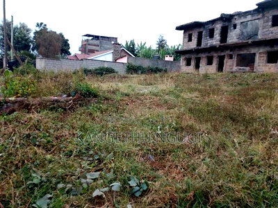 100x100 Commercial Plot Ndumberi - Image 4