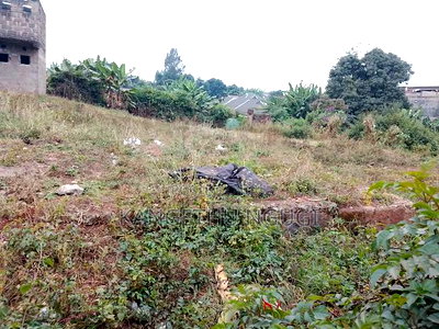 100x100 Commercial Plot Ndumberi - Image 2