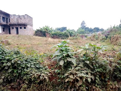 100x100 Commercial Plot Ndumberi - Image 1