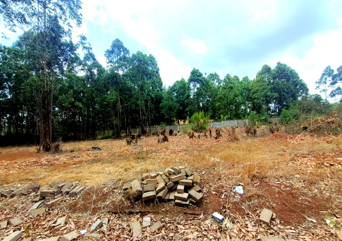 Quarter Acre Runda Gem at KSh 27M