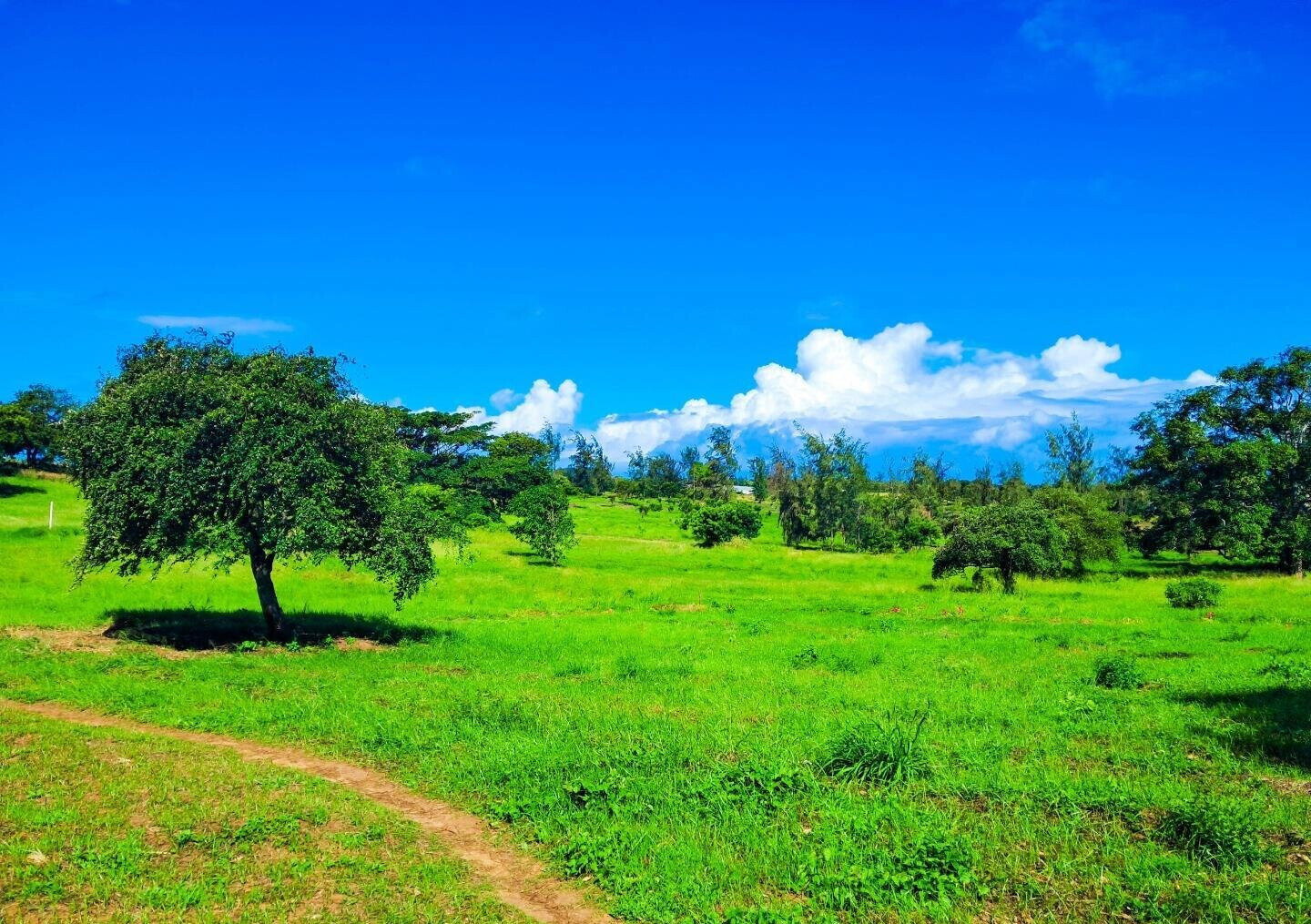 KSh 2.4M Garden Plot with Parking