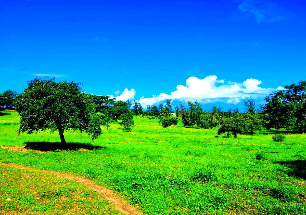 KSh 2.4M Garden Plot with Parking