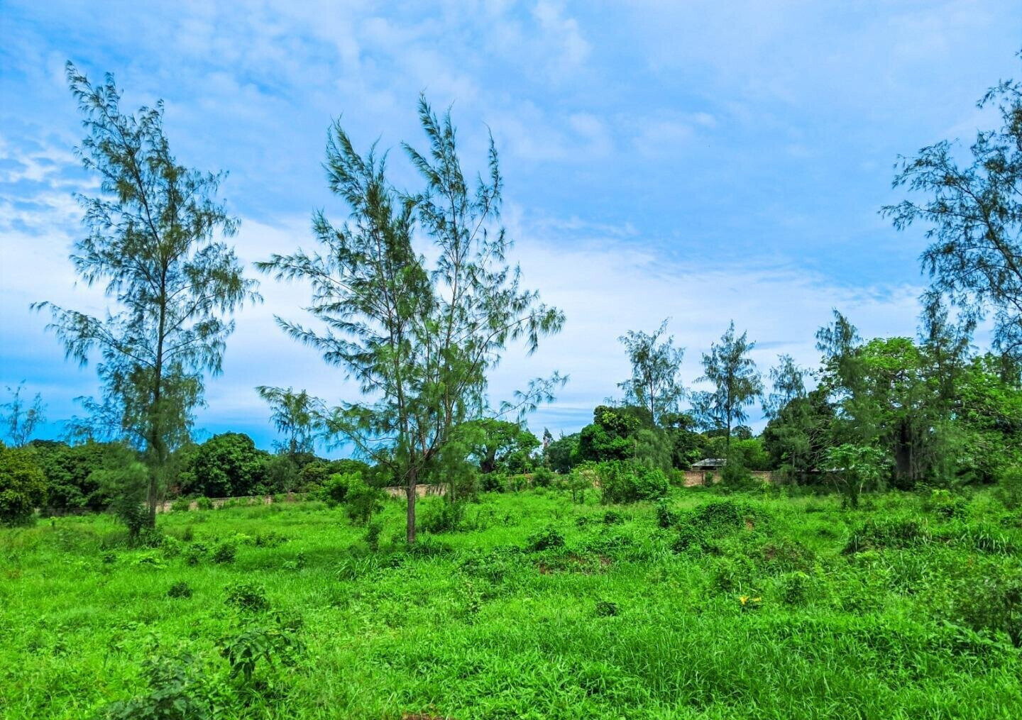 KSh 2.4M Garden Plot with Parking