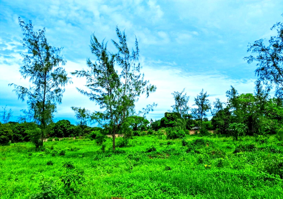 KSh 2.4M Garden Plot with Parking