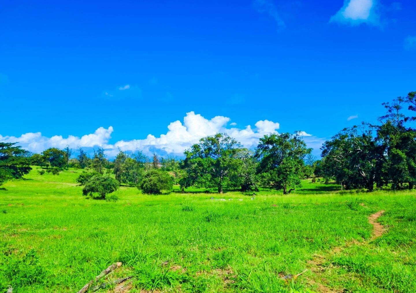 KSh 2.4M Garden Plot with Parking