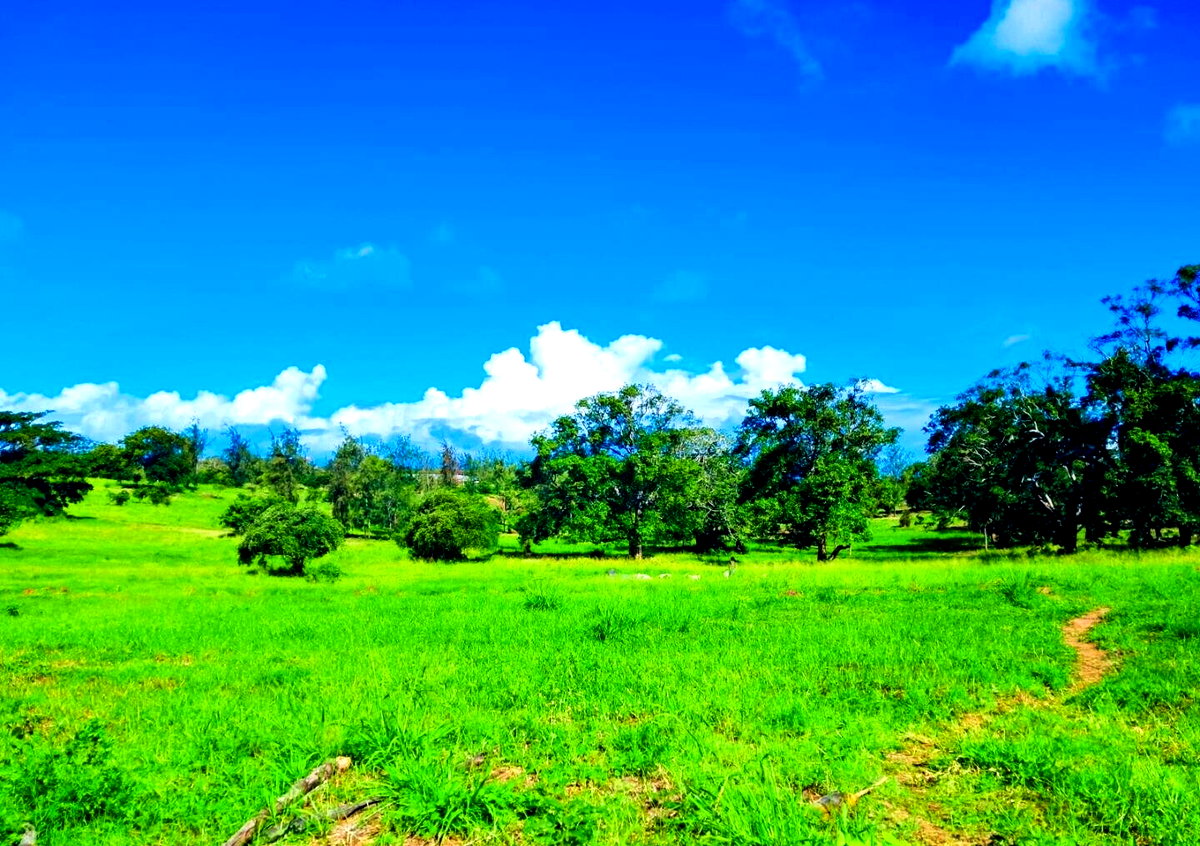 KSh 2.4M Garden Plot with Parking