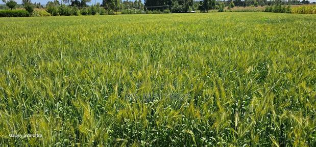 6 Acres for Sale in Naiberi Near Plateau in Eldoret