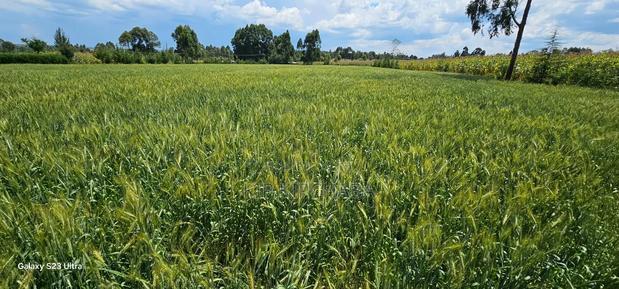 6 Acres for Sale in Naiberi Near Plateau in Eldoret