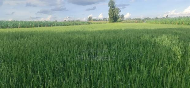 6 Acres for Sale in Naiberi Near Plateau in Eldoret