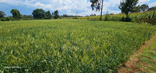 6 Acres for Sale in Naiberi Near Plateau in Eldoret