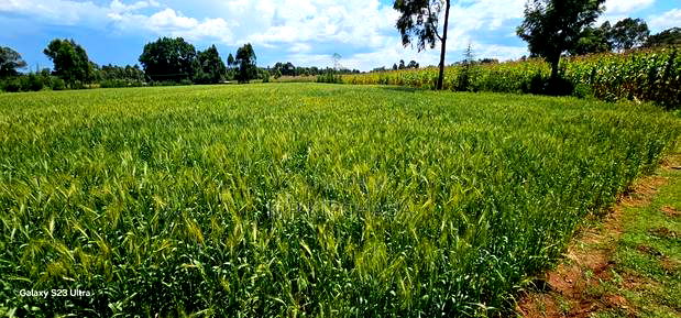6 Acres for Sale in Naiberi Near Plateau in Eldoret