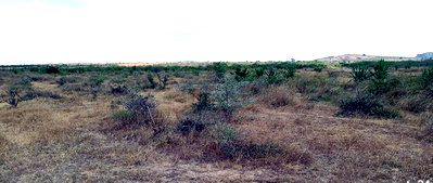 5-Acre Land in Kinanie, KSh 3.5M