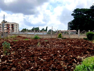 1/2 Acre Plot for Sale in Kikuyu,Gitaru Area - Image 6