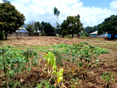1/2 Acre Plot for Sale in Kikuyu,Gitaru Area - Image 7