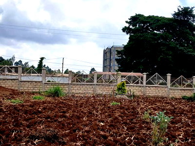 1/2 Acre Plot for Sale in Kikuyu,Gitaru Area - Image 2