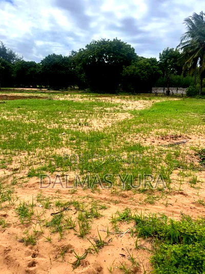 A Half an Acre Land in Watamu - Image 4