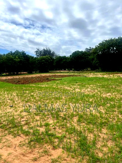 A Half an Acre Land in Watamu - Image 3