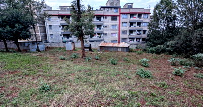 Half Acre Commercial Plot with Garden