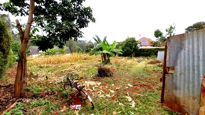 Kiambu Muthithi Garden Plot for Sale - Image 2