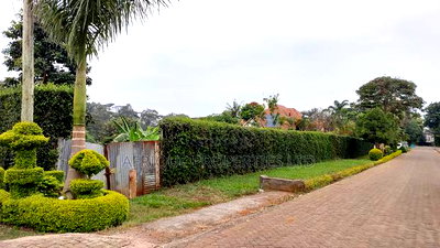 Kiambu Muthithi Garden Plot for Sale - Image 3