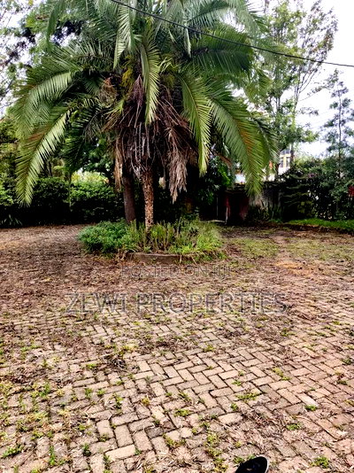 1/2 Acre Kerarapon - Image 4