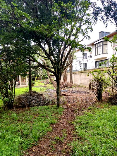 1/2 Acre Kerarapon - Image 3