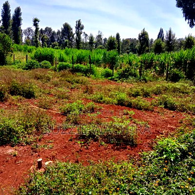 40x90ft Plots for Sale at Kenol Near St Ann High School - Image 10