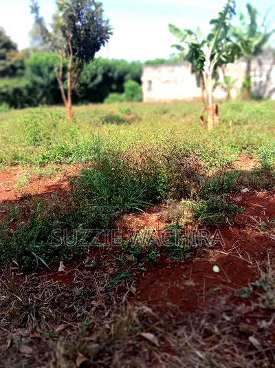 40x90ft Plots for Sale at Kenol Near St Ann High School - Image 5