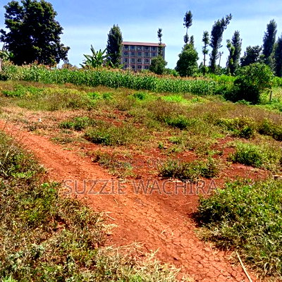 40x90ft Plots for Sale at Kenol Near St Ann High School - Image 6