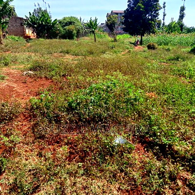 40x90ft Plots for Sale at Kenol Near St Ann High School - Image 4