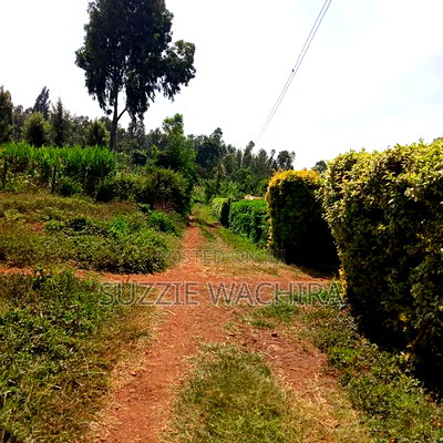40x90ft Plots for Sale at Kenol Near St Ann High School - Image 2