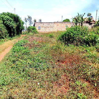 40x90ft Plots for Sale at Kenol Near St Ann High School - Image 3